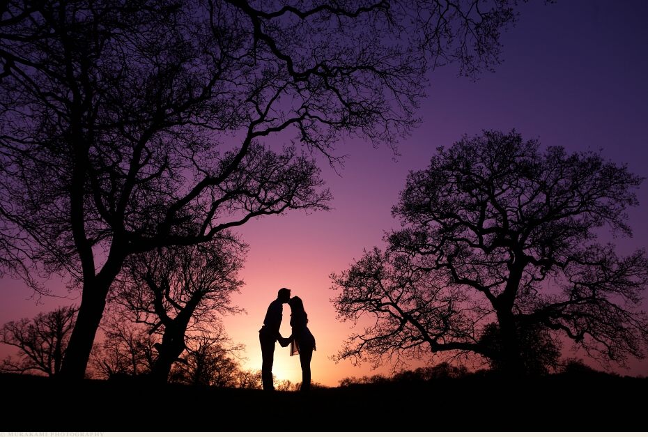 Stunning Engagement Photo